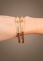 Ayra Bangle(Set of 2)