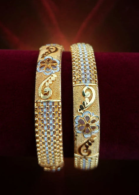 Areeba Bangle( Set of 2 )