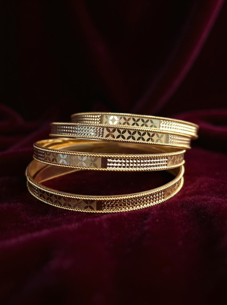 Shivanshi Bangle (Set of 4)