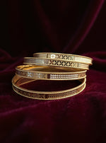 Shivanshi Bangle (Set of 4)