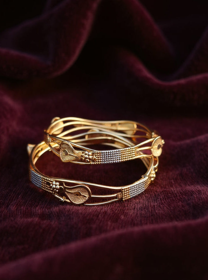 Himani Bangle (Set of 2)