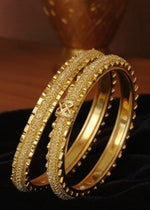 Anvi Bangle (Set of 2)