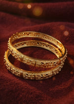 Mahi Bangle ( Set of 2 )