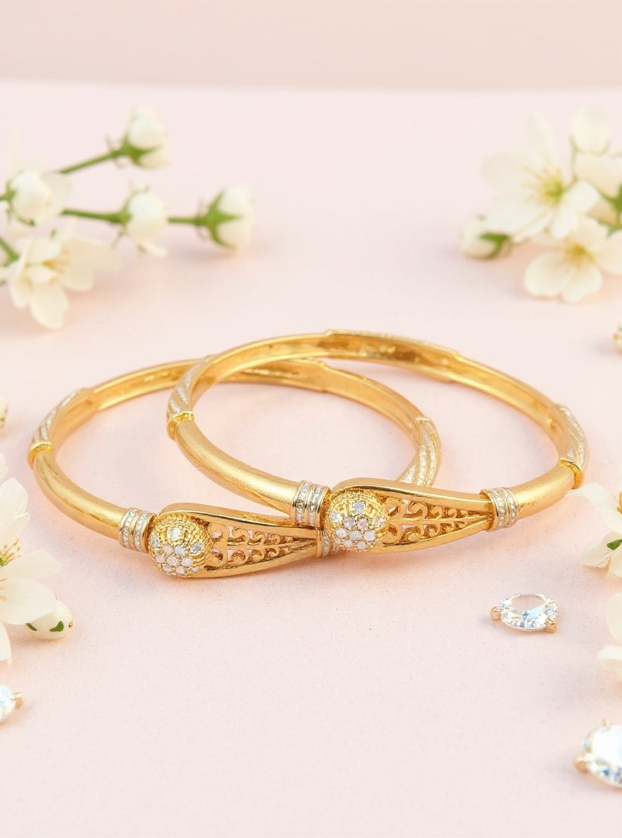 Aashvi Bangle(Set of2)