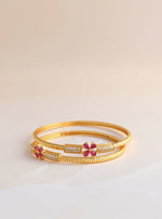 Ayesha Bangle (Set of 2)