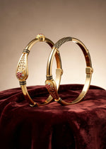 Aashvi Bangle(Set of2)