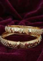 Sanvi Bangle (Set of 2)