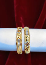 Areeba Bangle( Set of 2 )