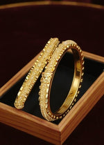 Anvi Bangle (Set of 2)