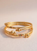 Neerja Bangle (Set of 2)