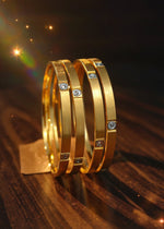 Ziva Bangle (Set of 4)