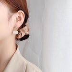 Korean Classy Pearls Bag Earrings