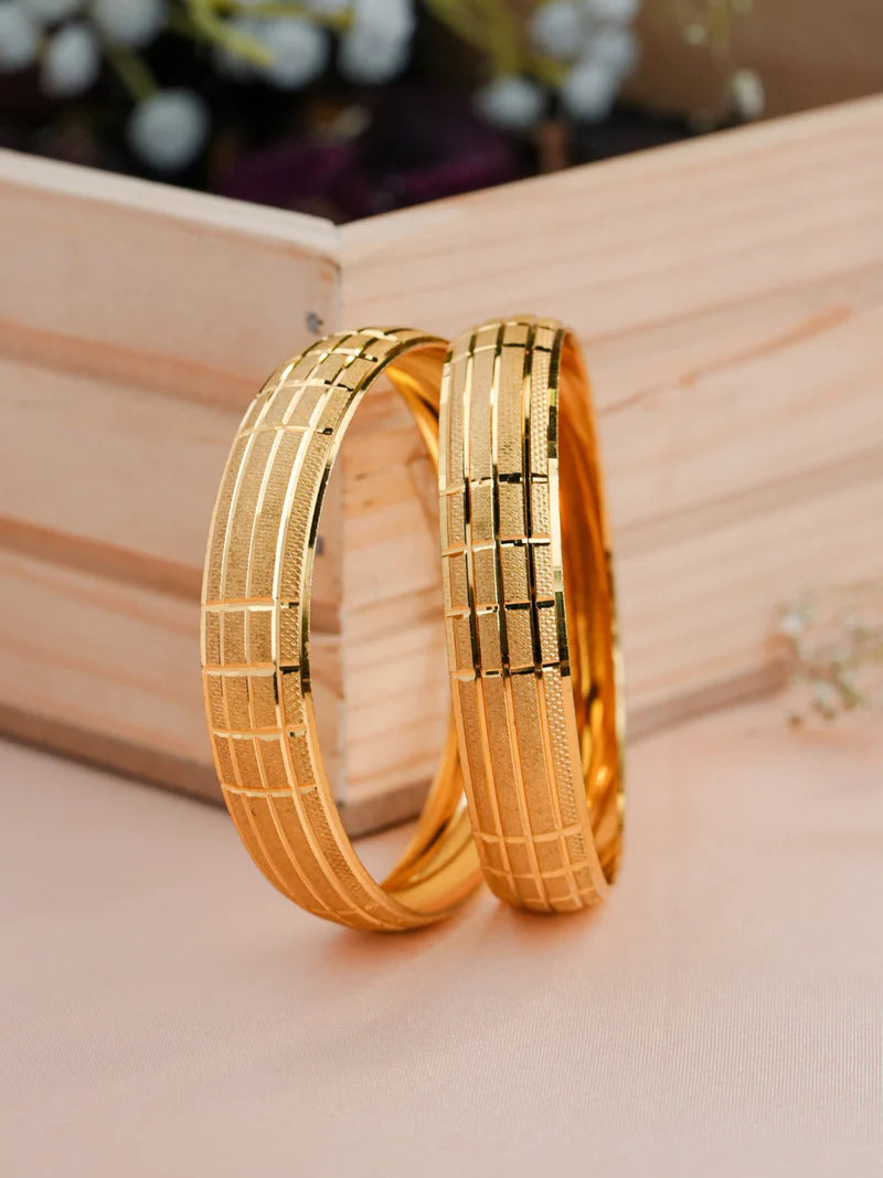Vanshika Bangle(set of 2)
